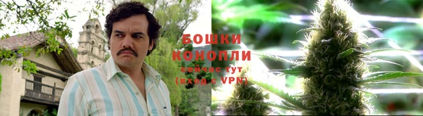 прущий лед Пересвет