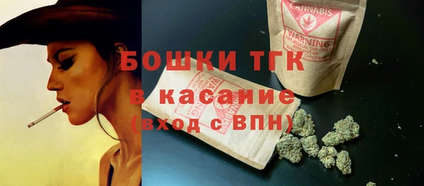 индика Алексеевка