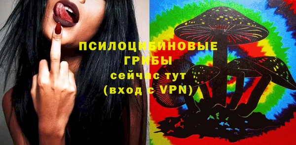 Альфа ПВП Алексин
