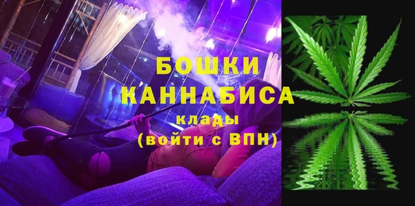 индика Алексеевка
